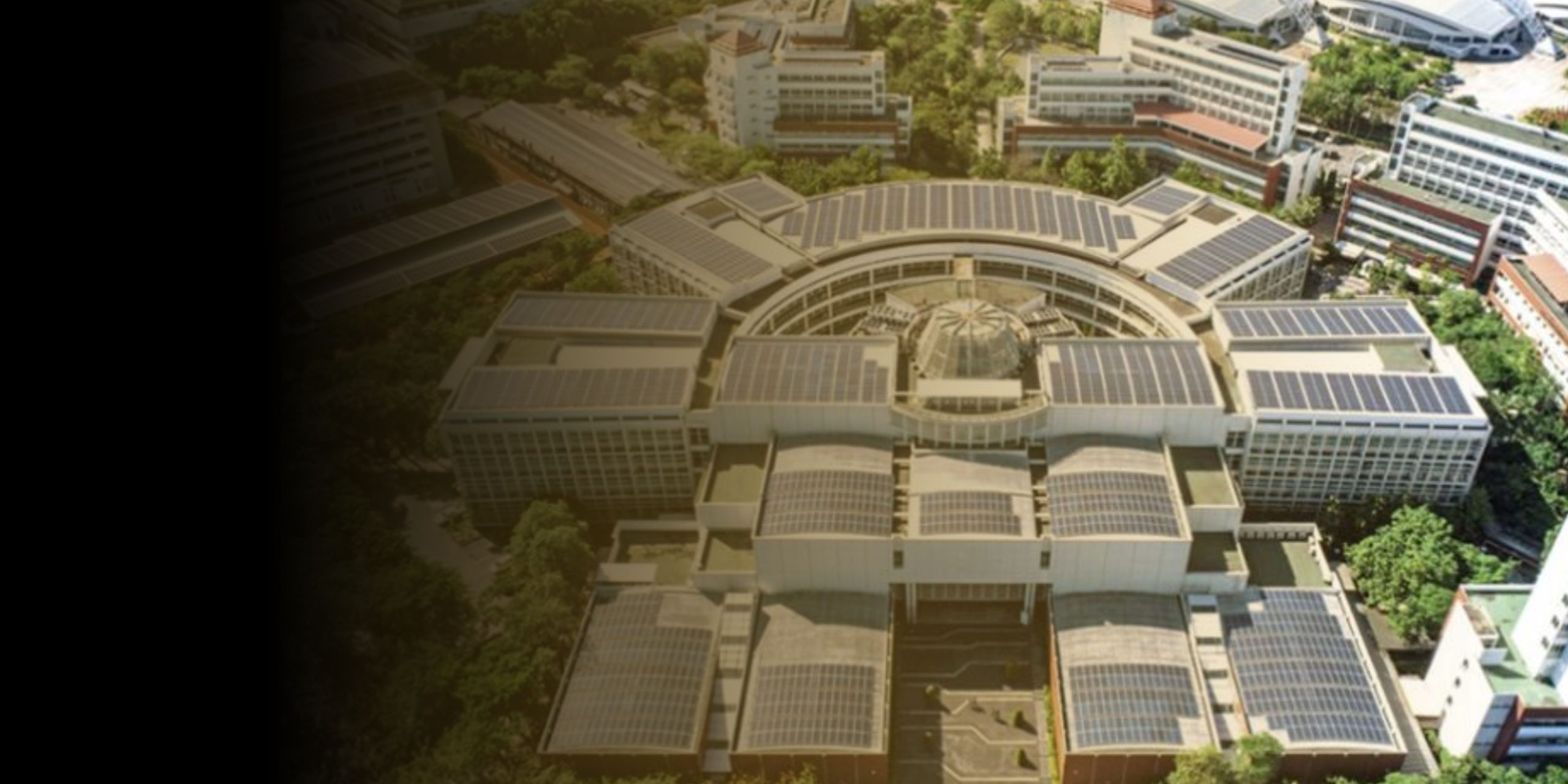 Thammasat University Admission: How Do I Get  Admission?